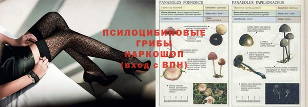 бошки Белоозёрский