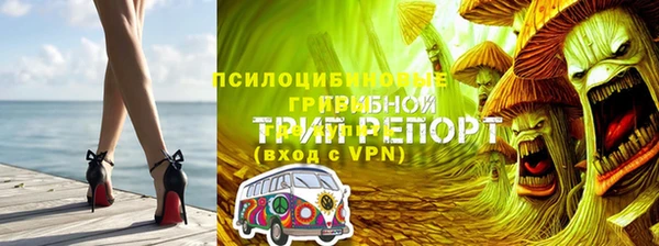 Альфа ПВП Белокуриха
