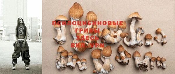 бошки Белоозёрский